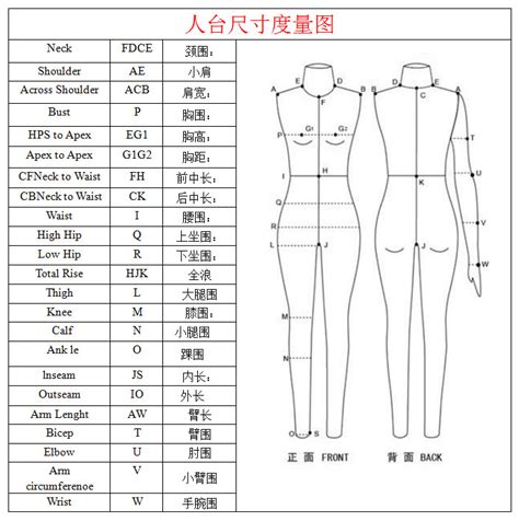 標準人台尺寸